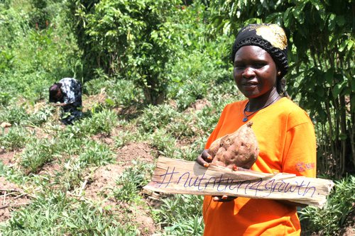 Woman holds harvested sweet potato and a handwritten banner saying #nutrition4growth