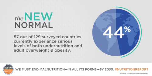 Graphical data banner depicting percentage of countries experiencing serious levels of both undernutrition and adult obesity: "44%: the new normal - 57 out of 129 surveyed countries experiencing serious levels of both undernutrition and adult obesity. Source: 2016 Global Nutrition Report