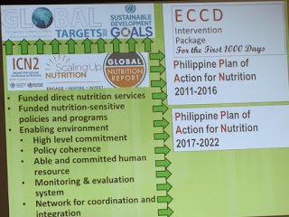 GNR as an input to Philippine Plan of Action for Nutrition